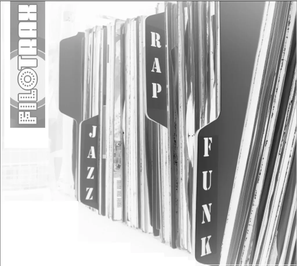 Filotrax 12" Vinyl Record Dividers - 200 BULK pack [black]