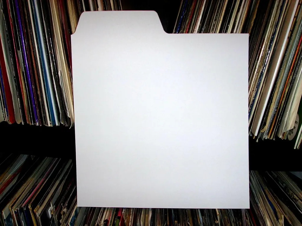 Filotrax 12" Vinyl Record Dividers - 100 pack [white]