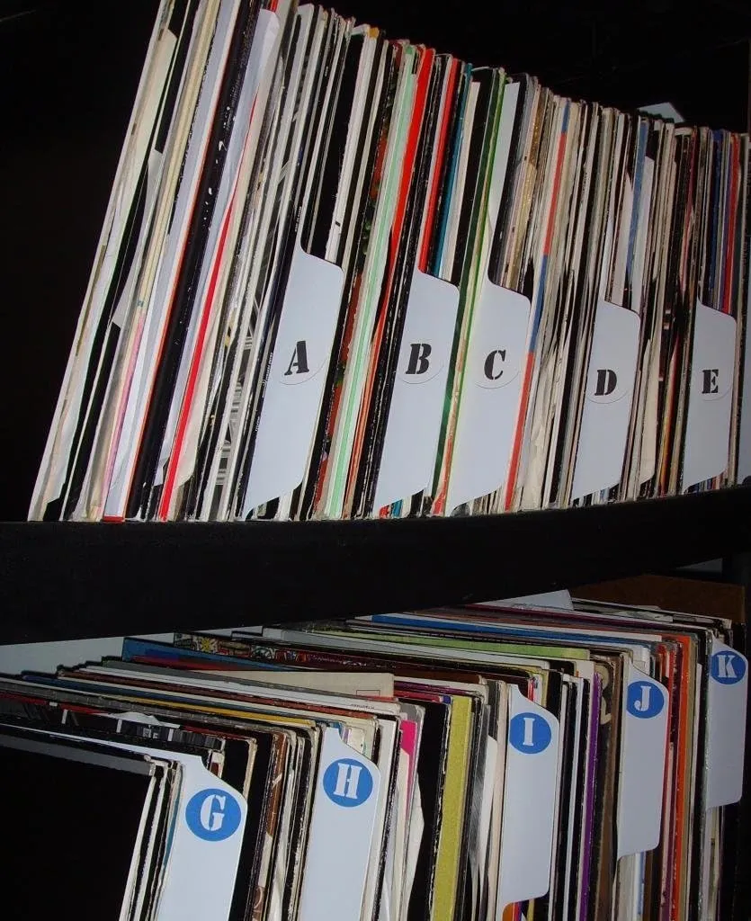 Filotrax 12" Vinyl Record Dividers - 200 BULK pack [WHITE]